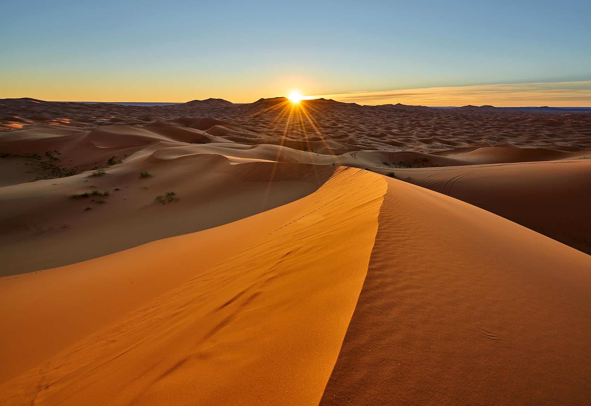 Marvelous Marrakech Collections #31488