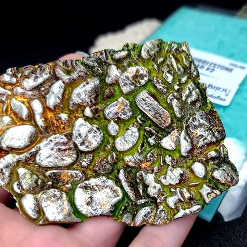 The Cobblestone Road #2 - Silicone Texture - Image 6