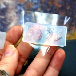 Fish - Clear Silicone mold #41483