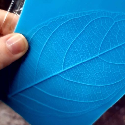 Detailed Leaf Texture - 135x85mm #148605