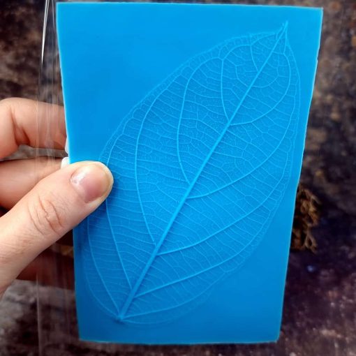 Detailed Leaf Texture - 135x85mm #148607