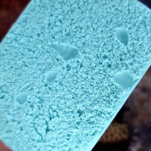 Real Sand and Shells on the Beach #167466