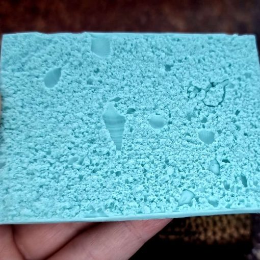 Real Sand and Shells on the Beach #167474