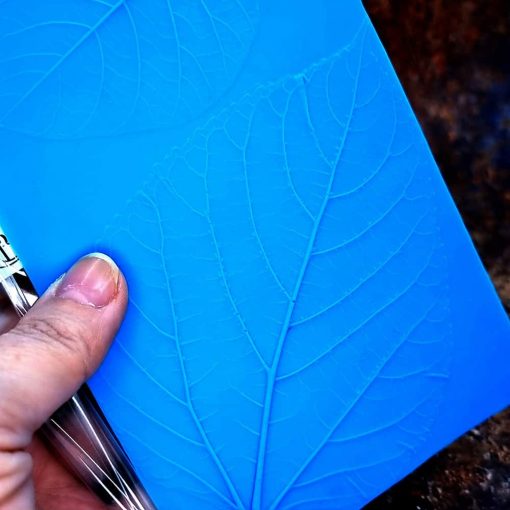 Real 2 Forest leafs #167422