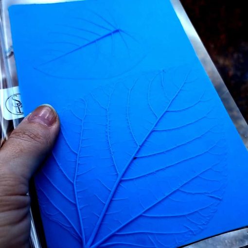 Real 2 Forest leafs #167424