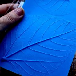 Real 2 Forest leafs #167430