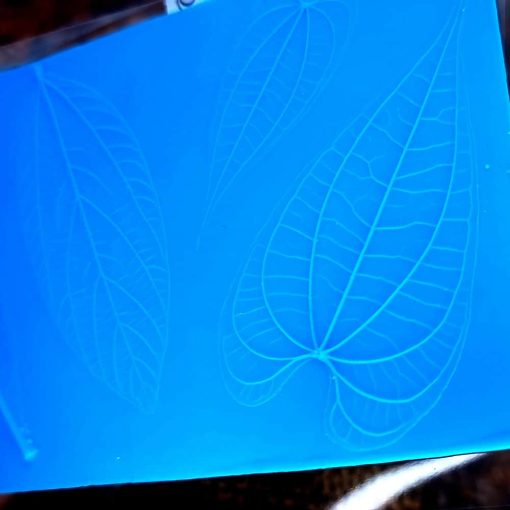 Real 4 Forest leafs #2 #167440