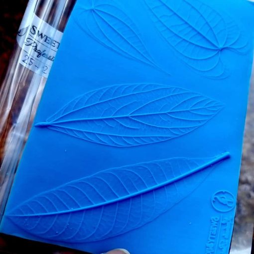 Real 4 Forest leafs #2 #167443