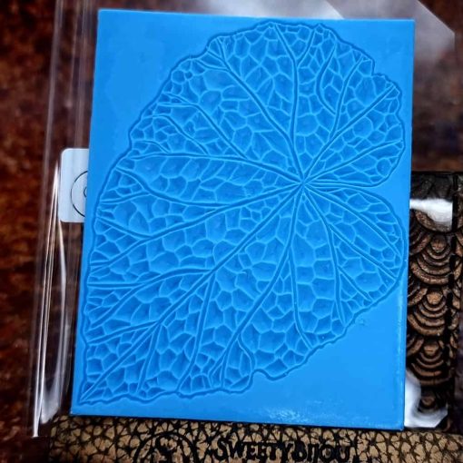 Begonia Leaf #156778