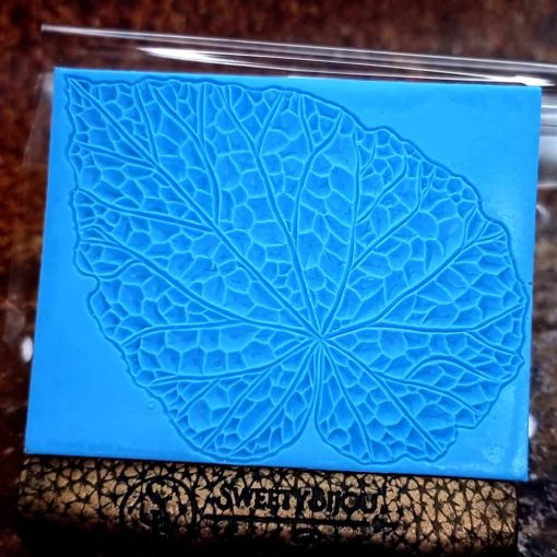 Begonia Leaf #156783