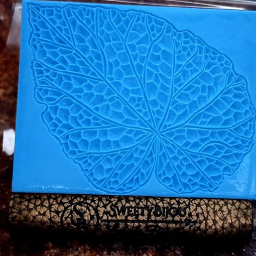 Begonia Leaf #156789