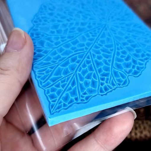 Begonia Leaf #156794