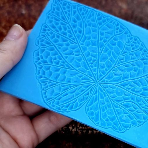 Begonia Leaf #156799