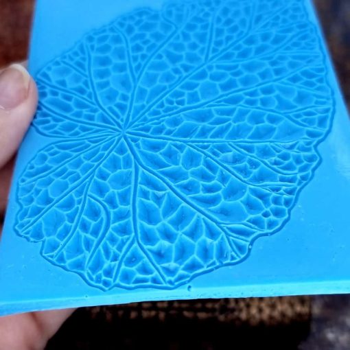 Begonia Leaf #156804