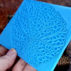 Begonia Leaf #156806