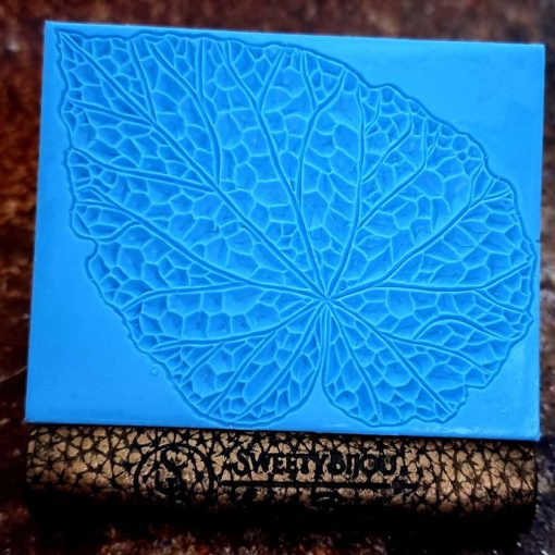 Begonia Leaf #156812