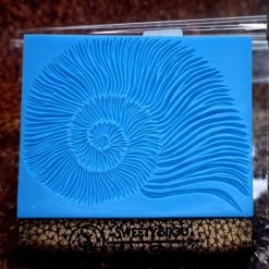 Ammonite Shell Pattern #156791