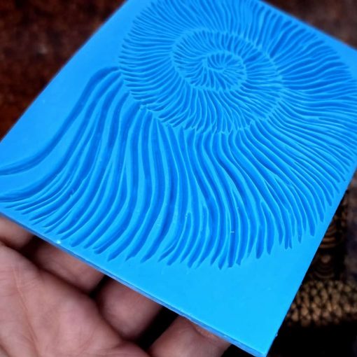 Ammonite Shell Pattern #156796