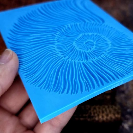 Ammonite Shell Pattern #156802