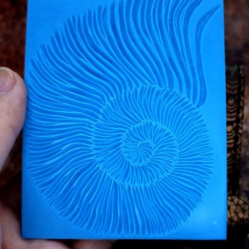 Ammonite Shell Pattern #156807