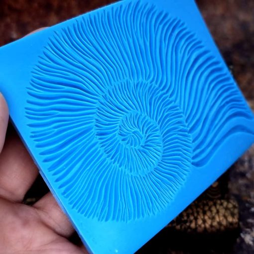 Ammonite Shell Pattern #156811