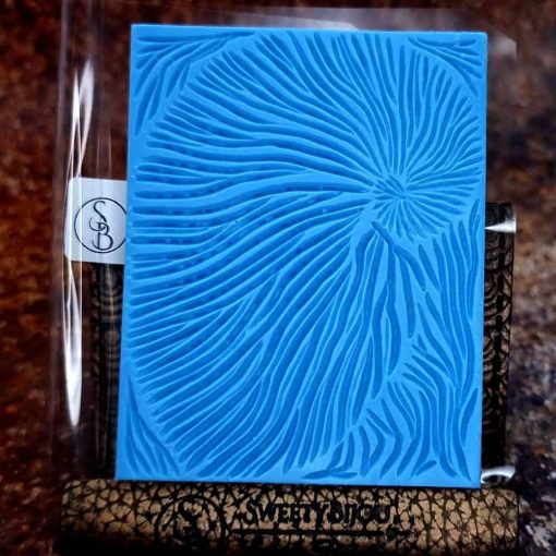 Nautilus Shell #156800