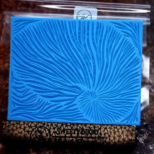 Nautilus Shell #156803