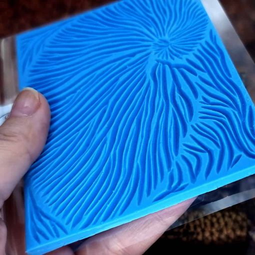 Nautilus Shell #156809