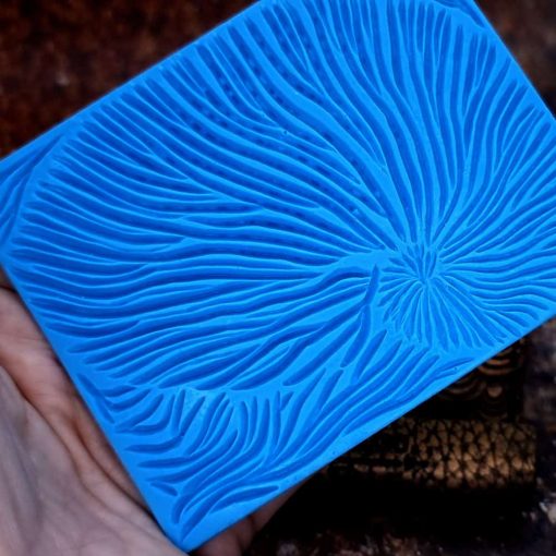 Nautilus Shell #156814