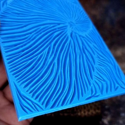 Nautilus Shell #156816