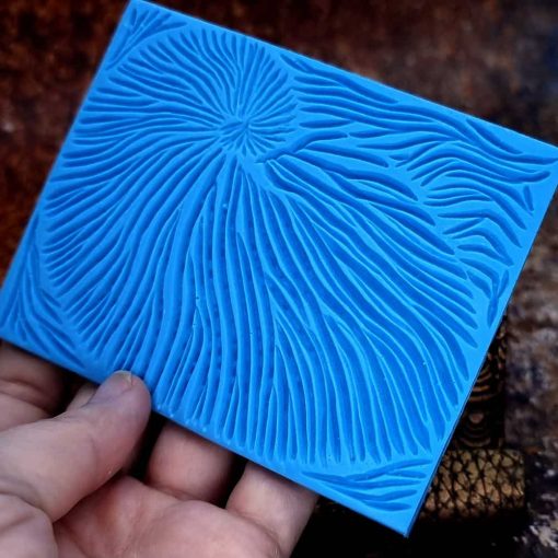 Nautilus Shell #156817